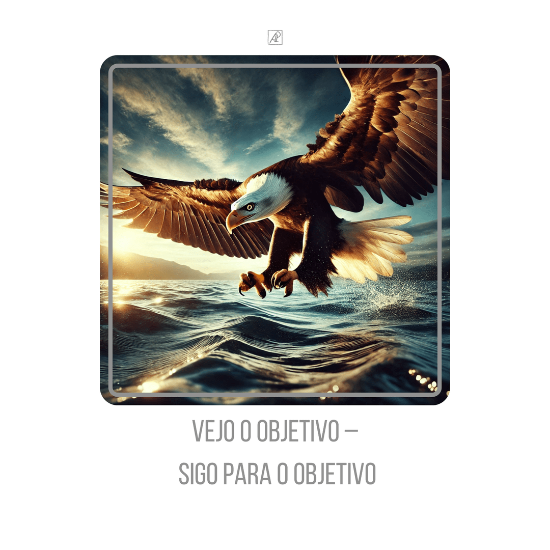🦅🌊 Vejo o objetivo –  sigo para o objetivo