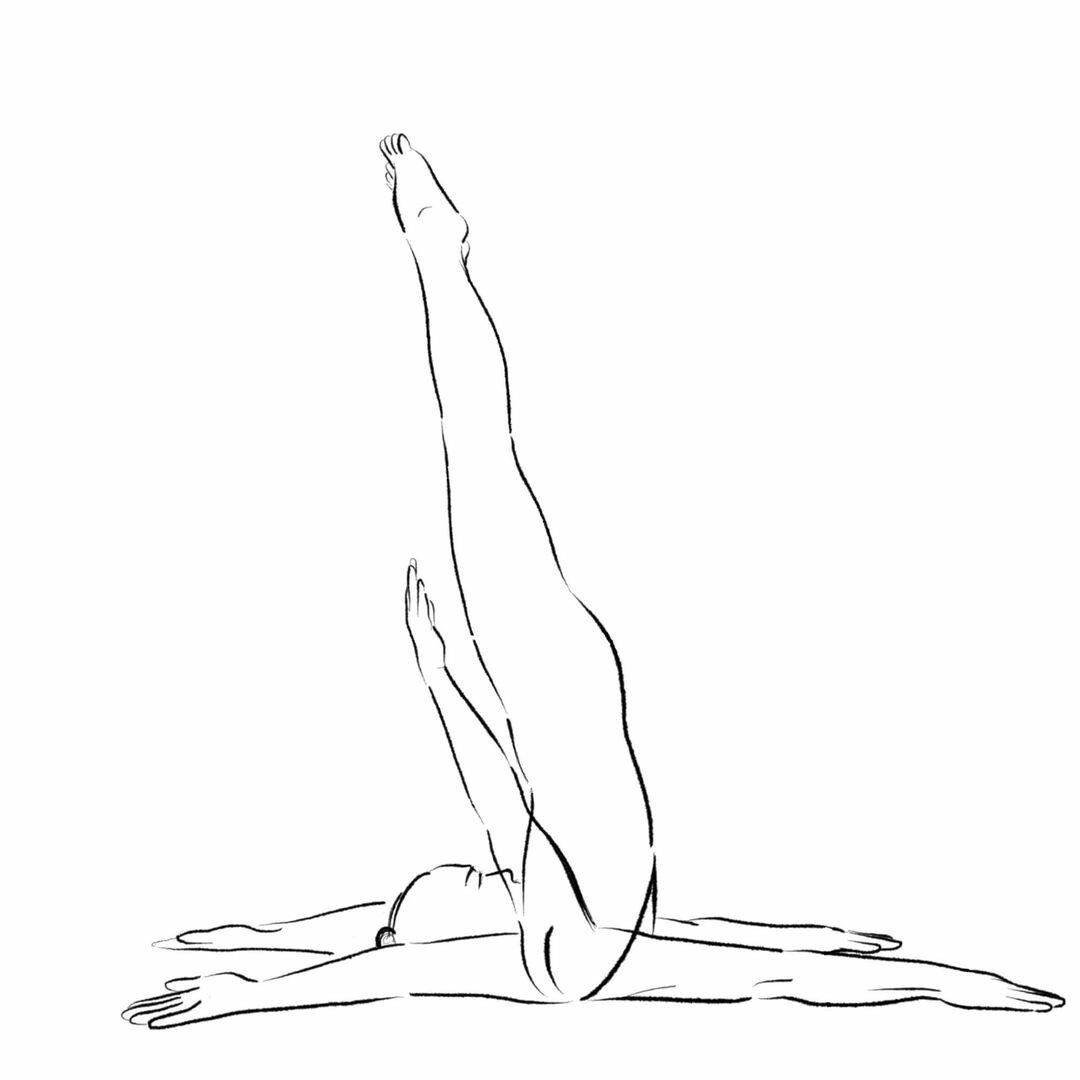 Shadow Yoga: Sarvāṅgāsana – all limbs poster image