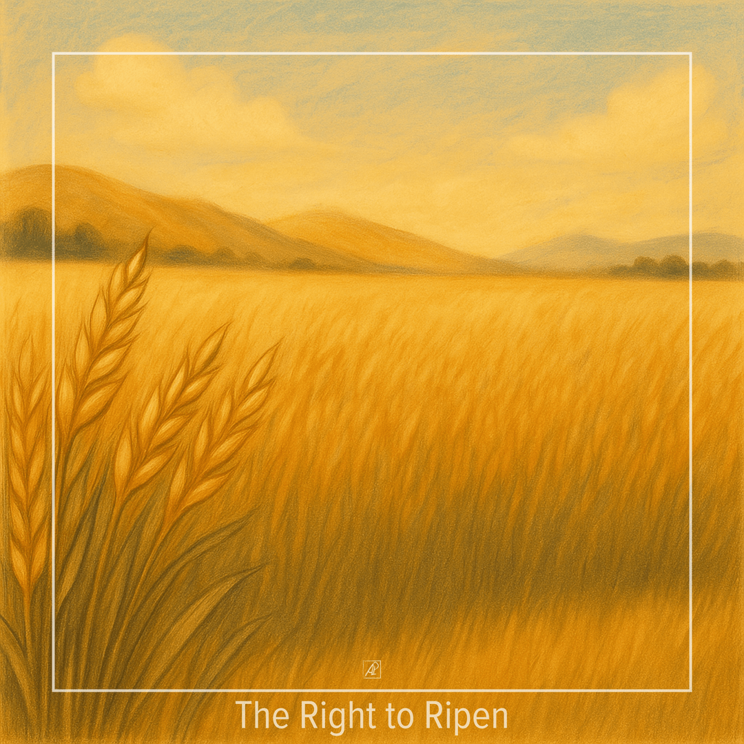 🌾☀️🌿Право на дозрівання poster image