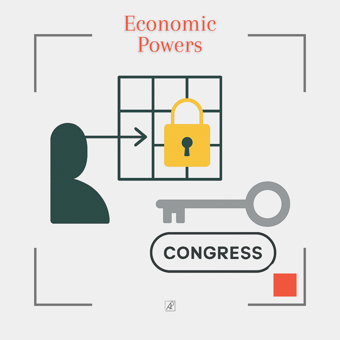 Предел полномочий Президента США 🔴 Экономические полномочия poster image