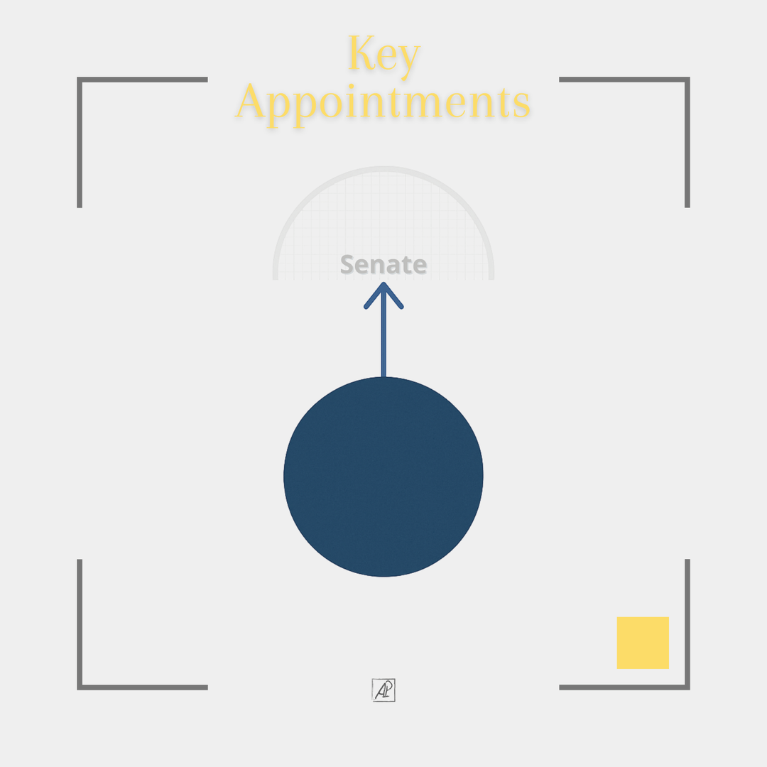 Limit of Presidential Powers in the USA 🟡 Key Appointments poster image