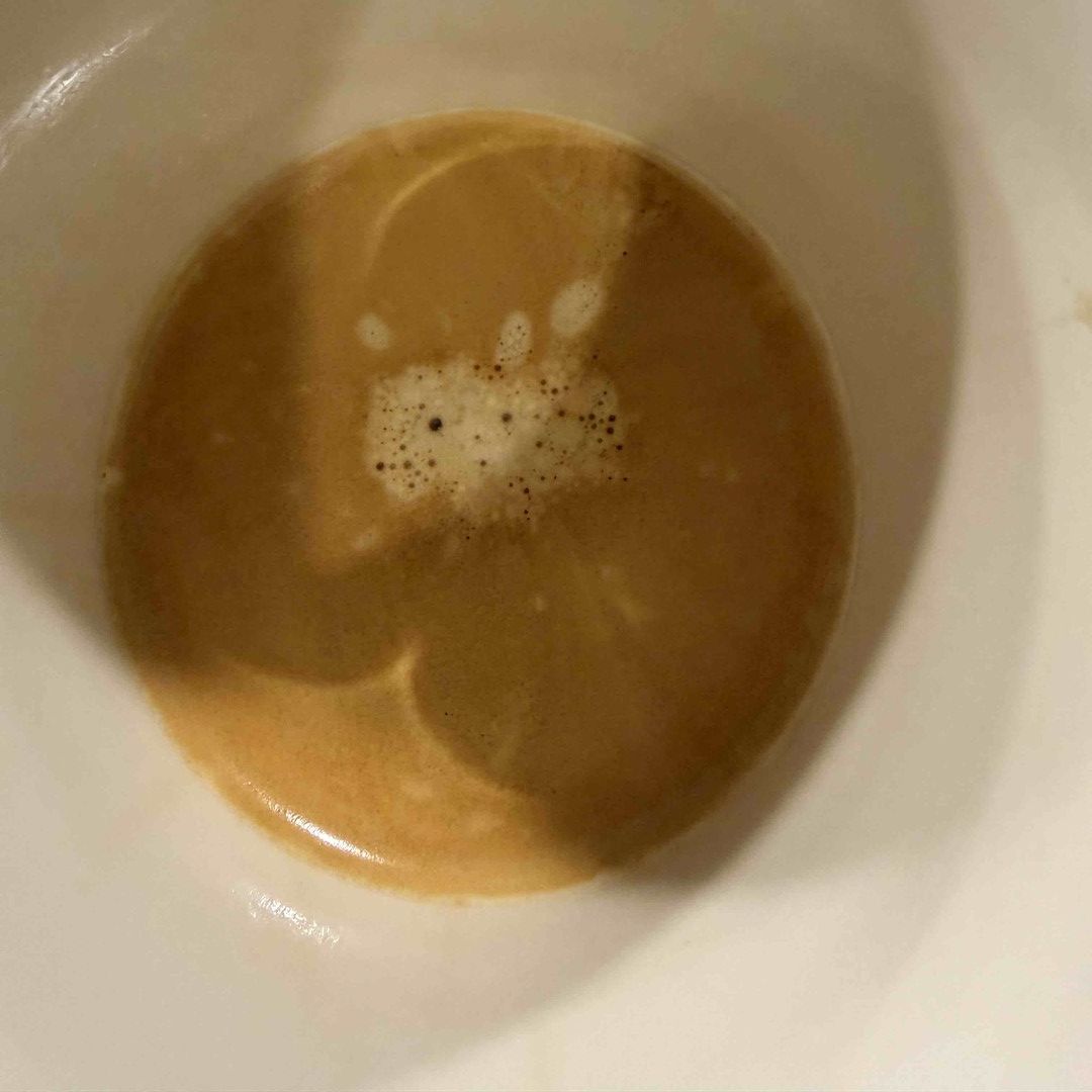 🐨 Do You See This Too? Espresso Morning Inspiration