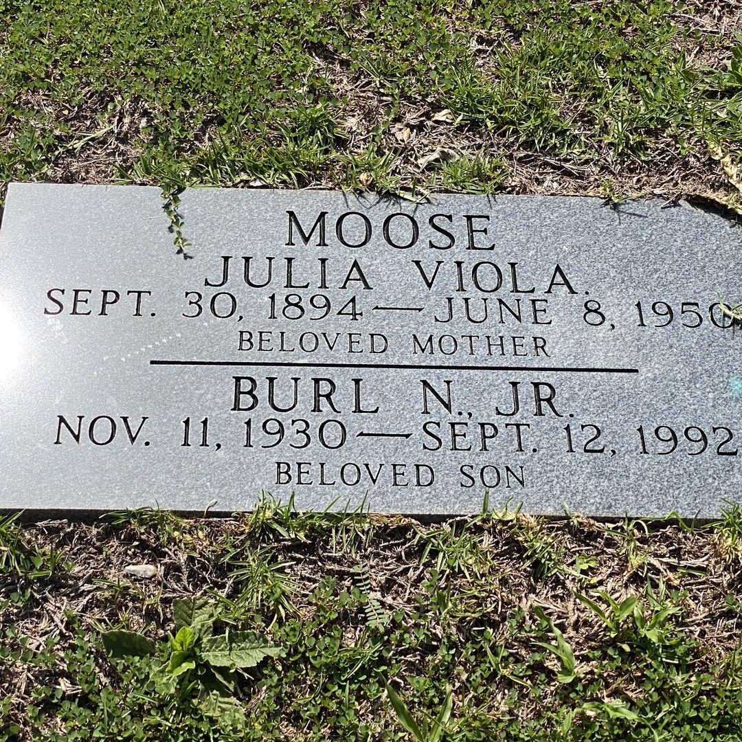 Julia Viola