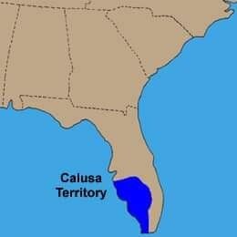 The Calusa were a Native American people of Florida's southwest coast.  poster image