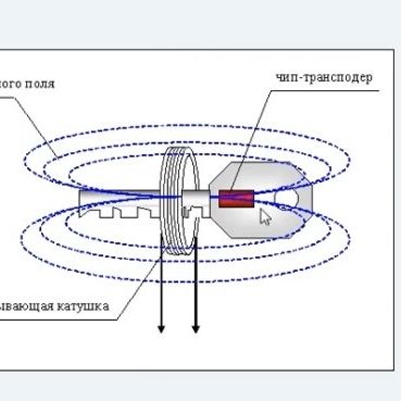 Что таеое иммобилайзер?