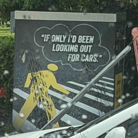 If only I'd been looking out for cars. Roadside Lessons