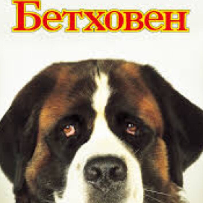 Фильм «Бетховен» 1992, США poster image