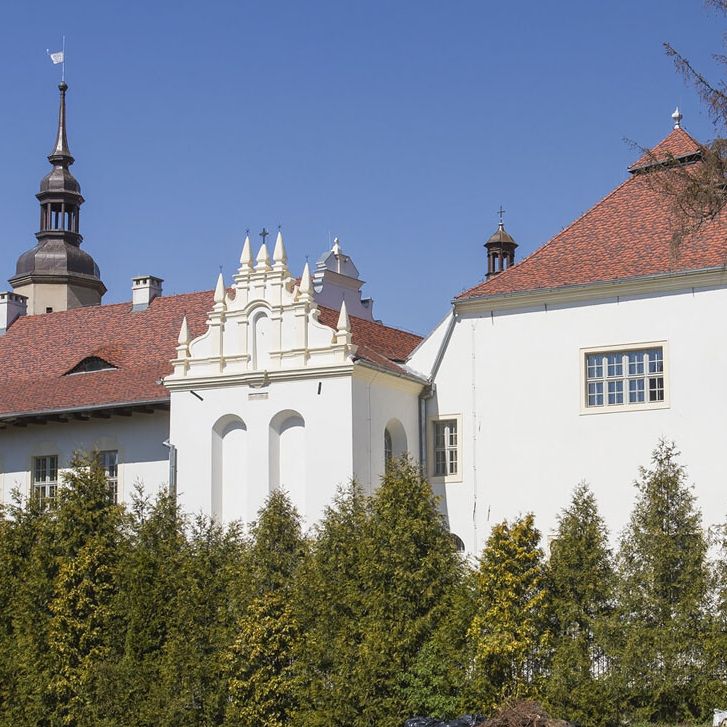 Замок в Глогувеке (Głogówek), Польша