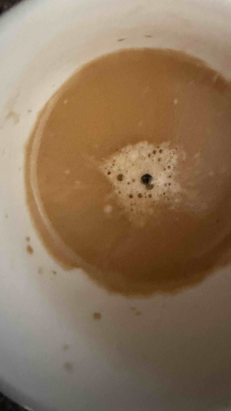 🐶The Puppy noticed it first. Espresso Morning Inspiration