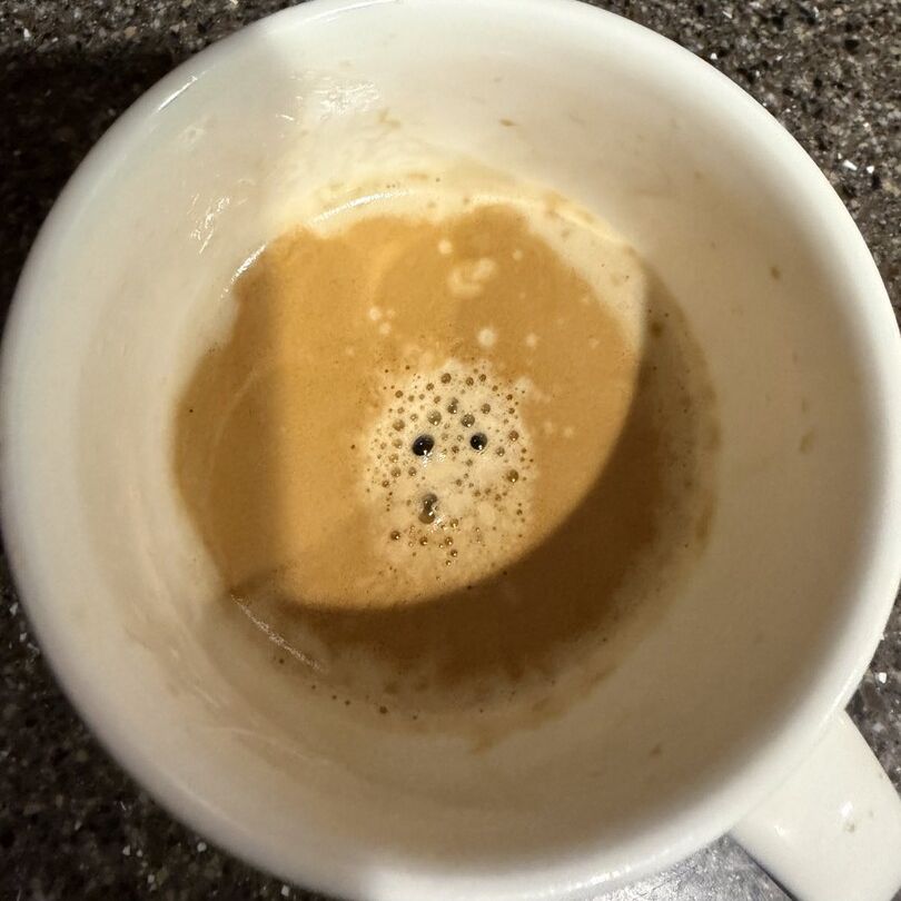 🐻 The Bear Noticed Something. Espresso Morning Inspiration