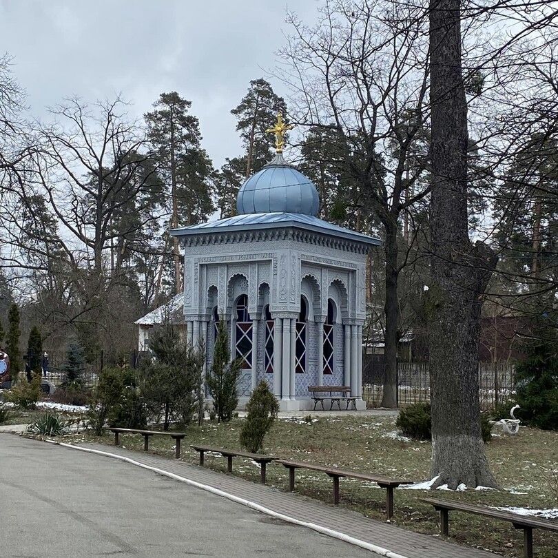 Склеп работы Владислава Городецкого. Оксана Денисова poster image