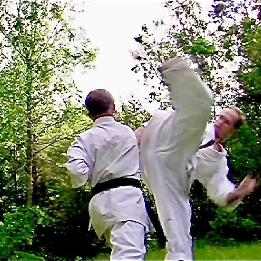 Сейчас в спортивном, особенно, каратэ (по правилам WKF) огромную популярность приобрел удар ура-маваси-гери. Сергей Мирутенко