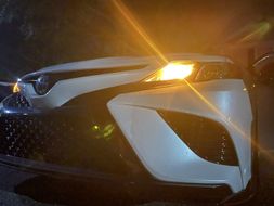 Хроники Медвежатника: полная утеря ключей toyota Camry 2023. St. Augustine, Fl poster image