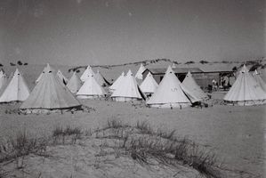 0875d736-8679-42ab-971a-593c1bb45f4d.jpeg