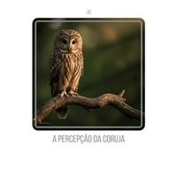 69ca913d-23ec-4727-86c3-c1fcdeb5e935.png