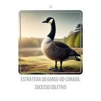 af6e2ab9-9d7f-4865-a802-bac998ae8473.png