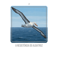 ecb83286-c25c-4bdb-a552-6ee2f3b141c7.png