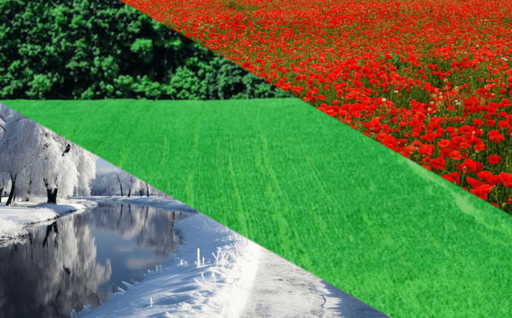 undefined